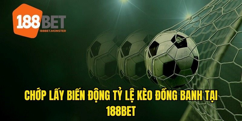 Nắm chắt thời cơ về biến động