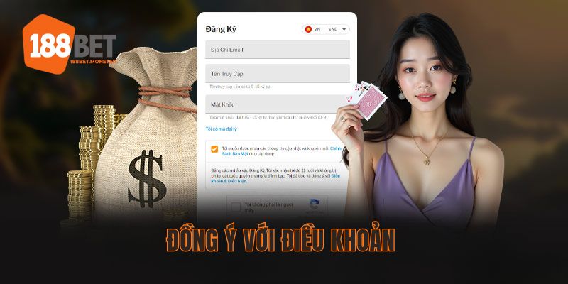 Tuân thủ điều khoản