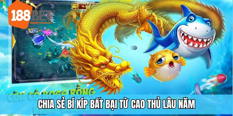 Kinh nghiệm từ tuyển thủ sống gửi tới cho người dùng khi săn thưởng